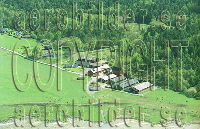 FFF 03009, #1. FFF 03009_0001 (Uppges vid kontakt med Svenska Aero-Bilder AB)